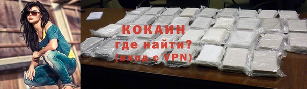 СК Бронницы