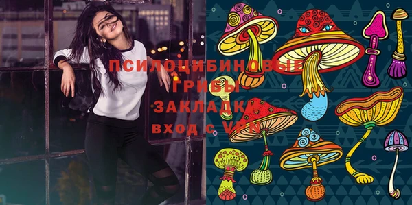 СК Бронницы