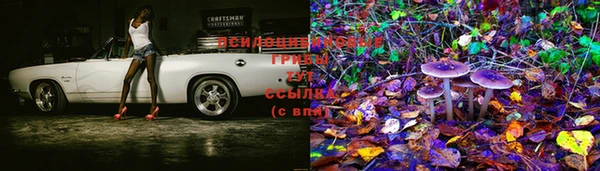 тгк Верея