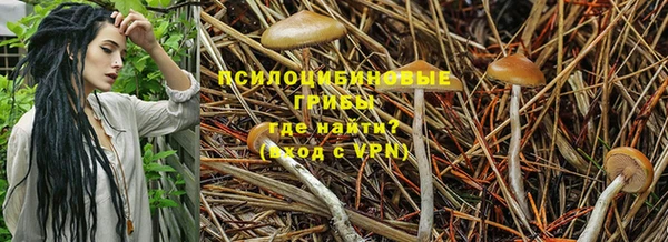 марки nbome Бородино