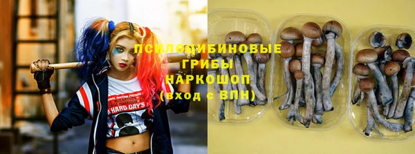 марки nbome Бородино