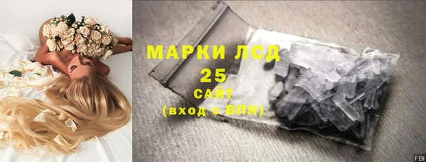СК Бронницы