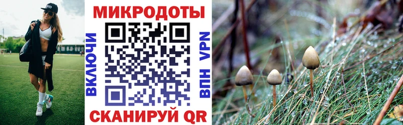 Псилоцибиновые грибы Psilocybe  где можно купить наркотик  Карабаново 