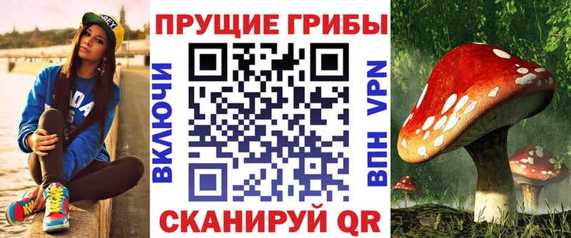 Галлюциногенные грибы ЛСД Карабаново